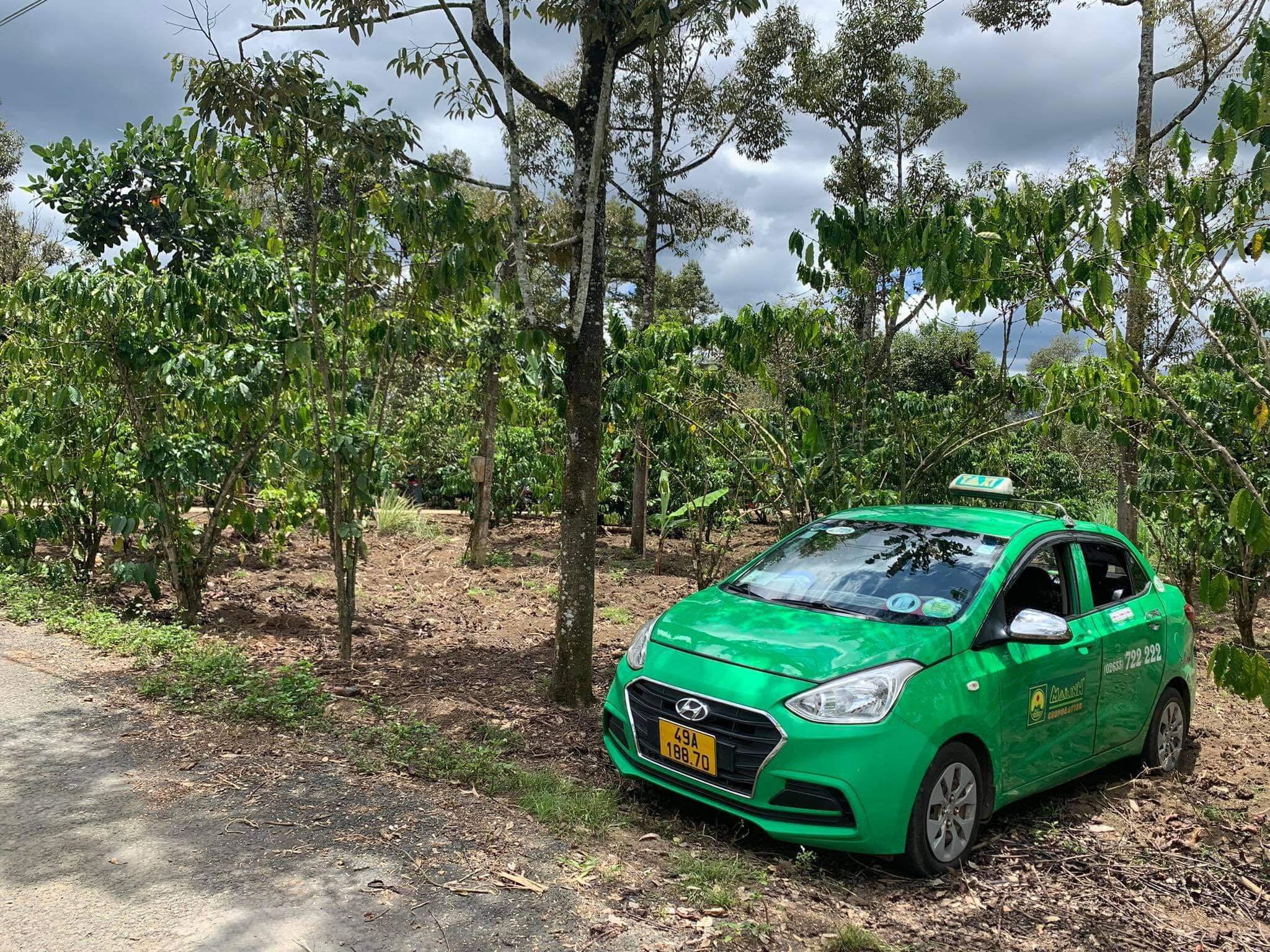 Taxi Bảo Lộc sẵn sàng phục vụ khách