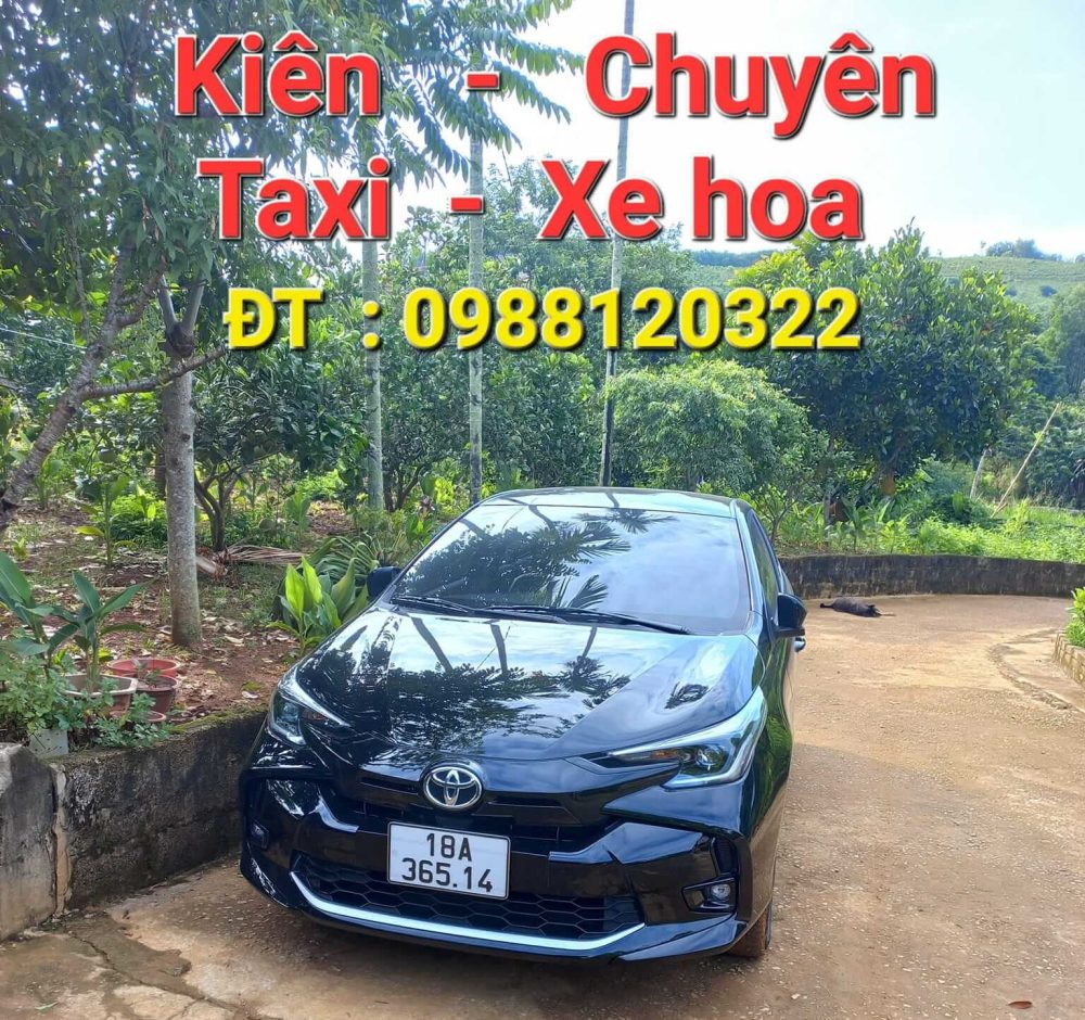 Đừng quên gọi ngay đến số hotline của hãng taxi để đặt xe nhanh chóng